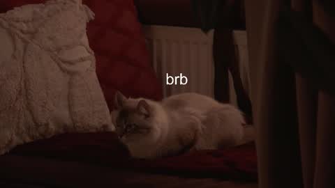 Hanna online show from 02/03/26, 06:40