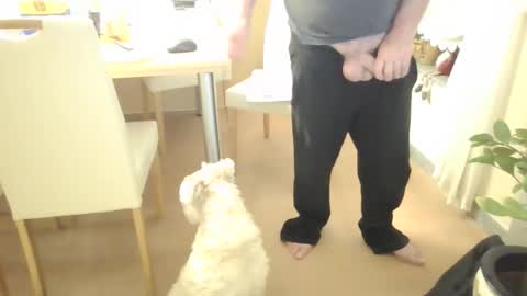 harald1234 online show from 02/21/26, 01:56