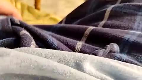 hardandhorny422 online show from 11/30/25, 04:33