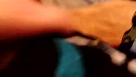 hardandhorny422 online show from 12/04/25, 03:54