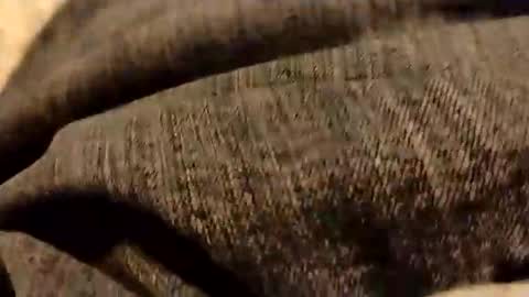 hardandhorny422 online show from 01/05/26, 06:44