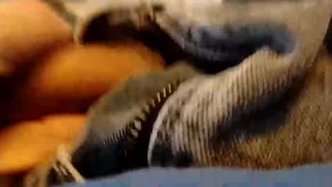 hardandhorny422 online show from 01/15/26, 03:49