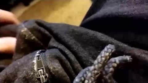 hardandhorny422 online show from 02/05/26, 01:05