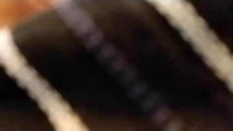 hardandhorny422 online show from 02/12/26, 03:51