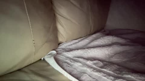 Slim West Cox online show from 12/20/24, 07:44