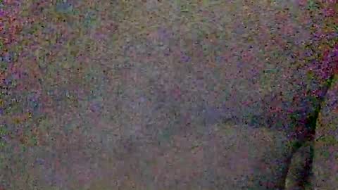 Snapshot of hardiebois chatting on 06/08/26, 04:57 Micheal online show from 06/08/26, 04:57