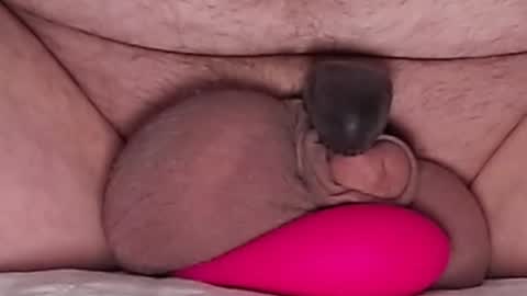 Snapshot of harfang23 chatting on 03/21/26, 08:19 Paul online show from 03/21/26, 08:19