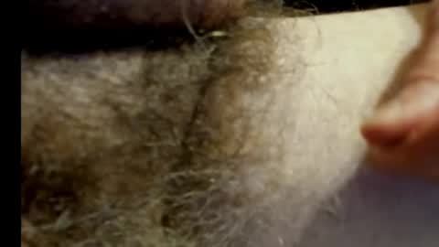 harry_banana online show from 01/20/25, 11:10