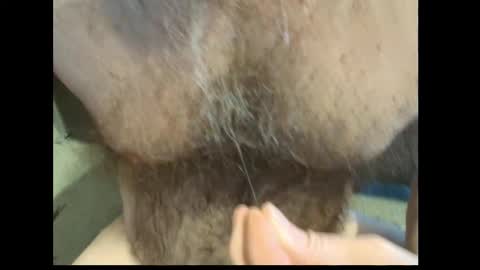 harry_banana online show from 02/27/26, 01:44