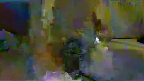 harryhavana online show from 02/11/25, 07:44