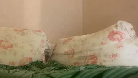 dee online show from 01/27/25, 04:09