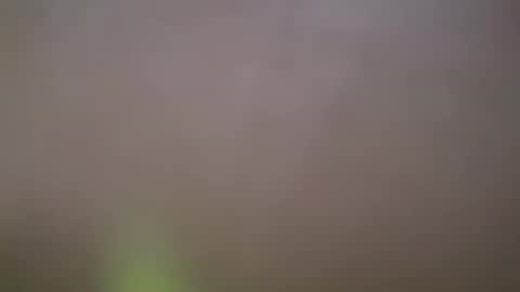 ZhongLi online show from 02/14/25, 02:54