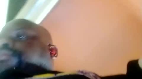 hbdj2164 online show from 02/23/25, 03:40