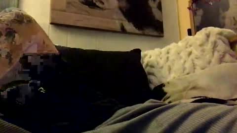 HBSethy online show from 01/11/25, 07:06