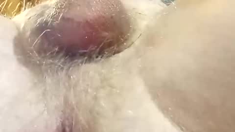 hcross2448 online show from 02/22/25, 03:01