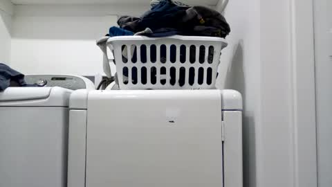 hdrsh08 online show from 04/15/26, 04:41