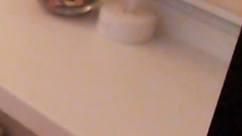 Heaven girl online show from 12/05/24, 11:29