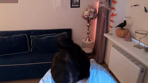 Heaven girl online show from 11/02/25, 01:35