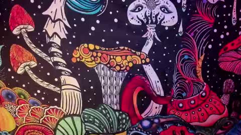   online show from 02/26/25, 07:42