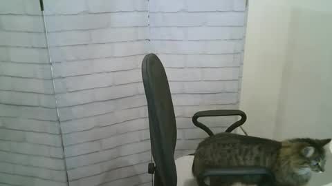 Helen online show from 01/13/26, 05:24