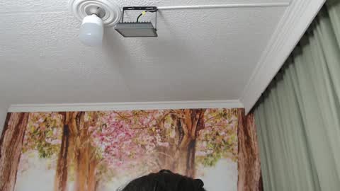 Hellen online show from 12/19/24, 02:13