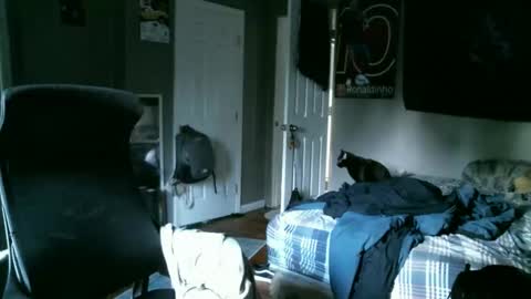Snapshot of hellothereimcoolyo chatting on 04/10/26, 11:48 longhairbeardedguy online show from 04/10/26, 11:48