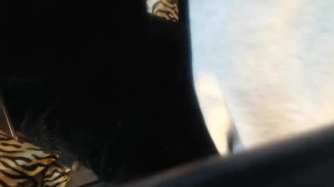 Helvell online show from 04/13/26, 11:05