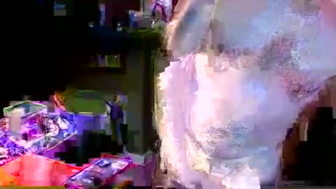 herb60657 online show from 11/04/25, 01:54