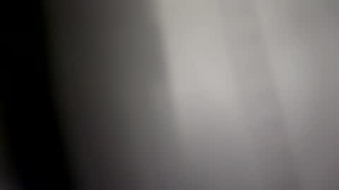 Snapshot of herletigre12345 chatting on 10/11/25, 02:11 herletigre12345 online show from 10/11/25, 02:11