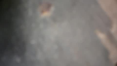 Snapshot of herletigre12345 chatting on 10/18/25, 05:32 herletigre12345 online show from 10/18/25, 05:32