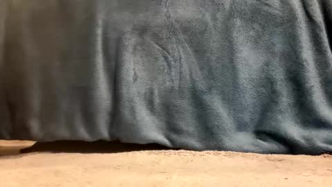 hevyryder online show from 04/14/26, 09:37