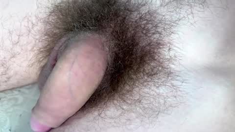 Arnold online show from 01/29/25, 09:17