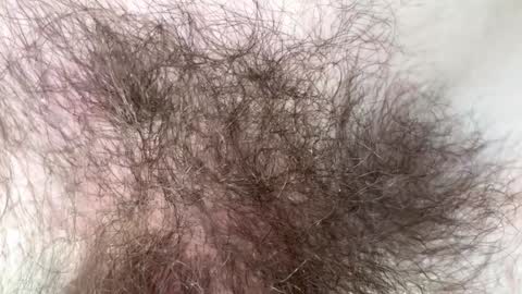 Arnold online show from 02/07/25, 09:15