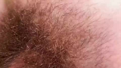 Arnold online show from 12/02/25, 09:21