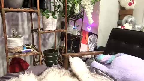 FlexieFae online show from 01/03/25, 04:44