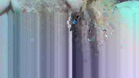 hi_to_you online show from 06/03/26, 08:17