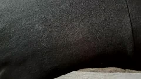 Snapshot of higheguy chatting on 02/20/26, 05:46 higheguy online show from 02/20/26, 05:46