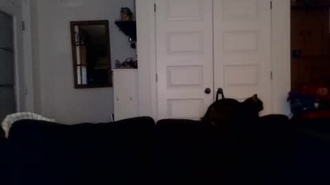 Snapshot of hightonight27 chatting on 02/21/26, 04:24 hightonight27 online show from 02/21/26, 04:24