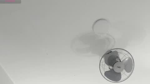 hilary_tailor online show from 01/14/26, 12:44