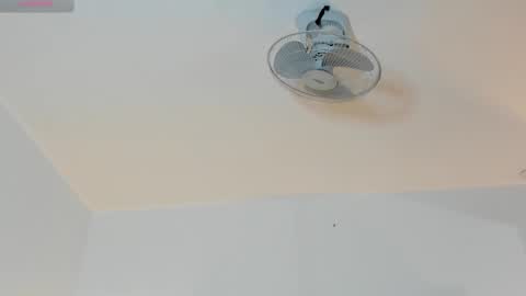 hilary_tailor online show from 01/17/26, 11:04