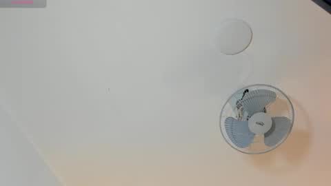 hilary_tailor online show from 01/19/26, 11:03