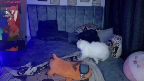 Inori Independent model online show from 04/04/26, 06:44