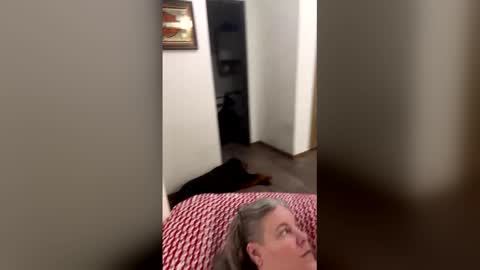 hippysnewhere online show from 04/23/26, 04:14