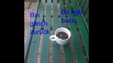 Holger online show from 09/29/25, 03:22