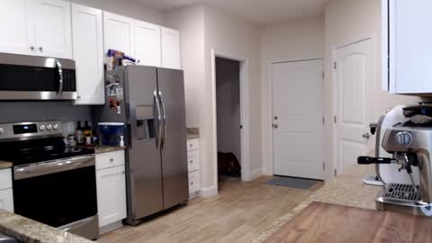 Holi Hurricane online show from 09/24/25, 11:30