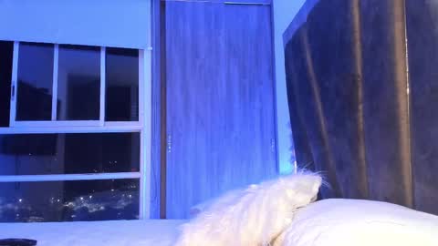 Snapshot of holly_29_m chatting on 02/11/25, 03:29 Mara online show from 02/11/25, 03:29