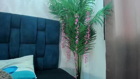 holly online show from 11/24/25, 07:13