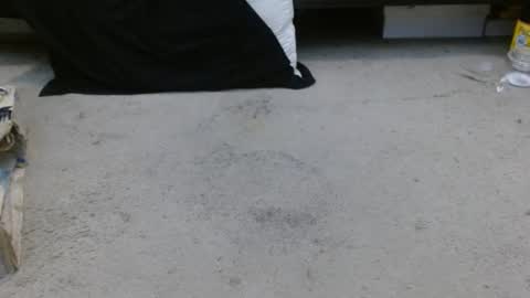 Holly Hawkes online show from 01/30/25, 04:27