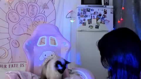 Ho Lee Sheet online show from 01/18/26, 06:23