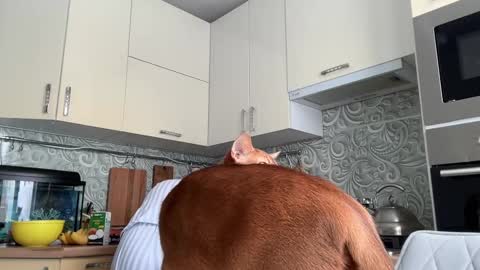 Snapshot of holydori chatting on 02/10/25, 08:53 dori not holy get my tg channel with link from description under last photo online show from 02/10/25, 08:53